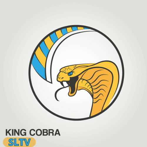 KING COBRA IPTV