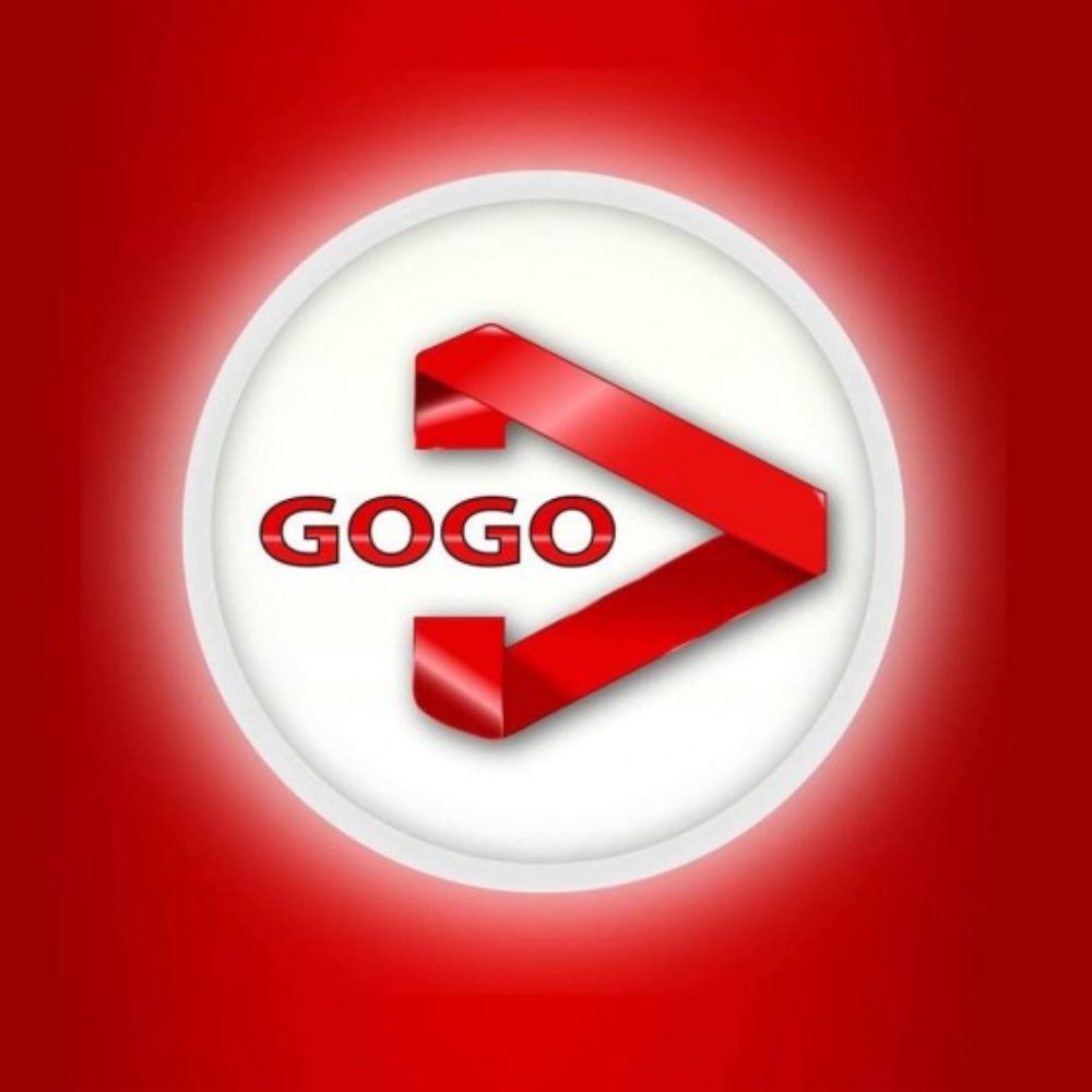 GOGO iptv panel iptv